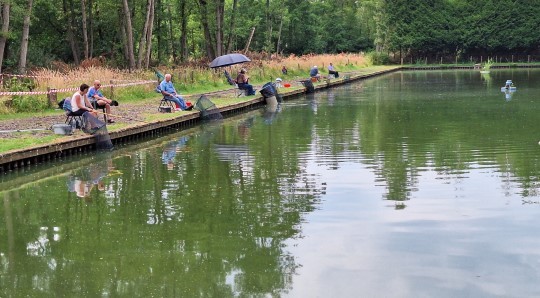 recreatieve-viswedstrijd