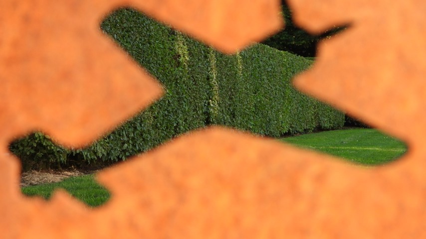 21/06/2025 Fotozoektocht